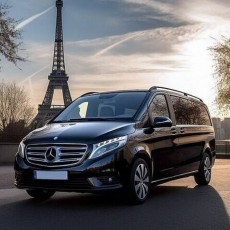 비즈니스 의전/ 박람회/패션위크